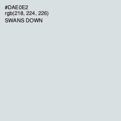 #DAE0E2 - Swans Down Color Image